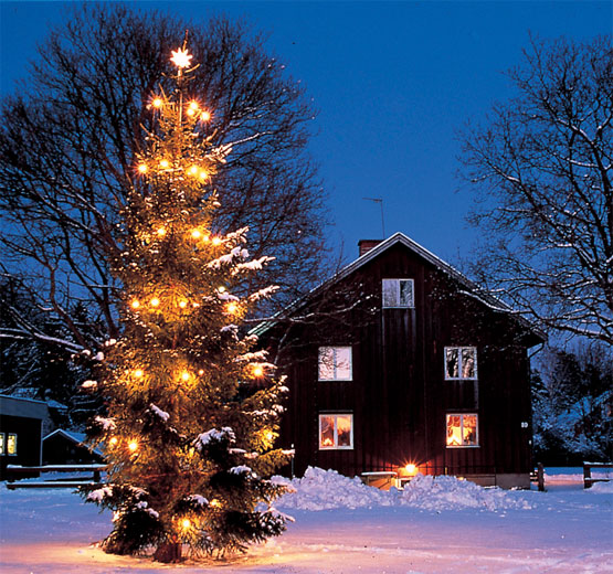 ¿De dónde procede la costumbre del Árbol de Navidad?