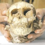 Fosil de niña de Etiopia de 3,3 millones de años