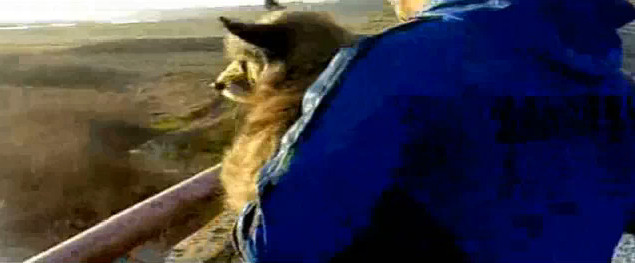 perro lanzado puente Svajunas Beniukas