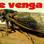 ¿Cuál es el insecto con el ciclo vital de mayor duración?