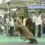 Un abuelo japonés para morirte de risa