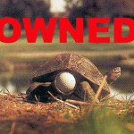 Owned 8