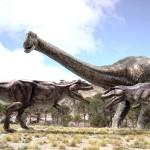 ¿Cuál es el ser vivo más grande del mundo?