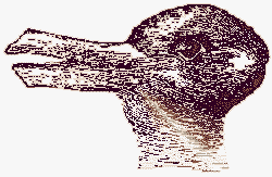 ilusiones opticas pajaro conejo