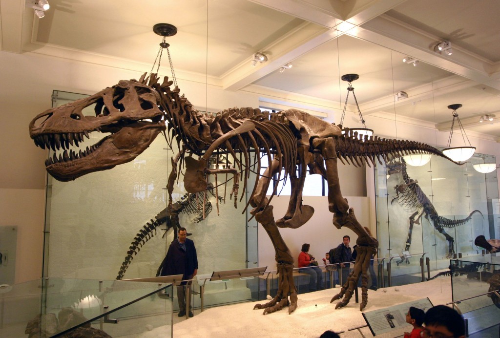 Tyrannosaurus Rex tiranosaurio trex esqueleto