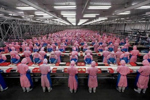 fabricas china trabajadores chinos 05