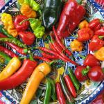 Ajies Chiles Mexicanos Picantes guindillas Ajies Chiles Mexicanos Picantes guindillas