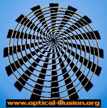 ilusion-optica-circulos-concentricos