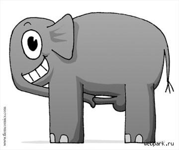animales-graciosos-elefante