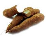 tuberculo planta conocimiento pregunta