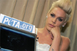 Lana de Australia: Pink denuncia irregularidades peta pink