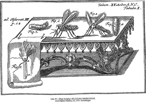 generacion espontanea generacion espontanea