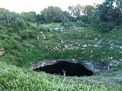 murcielago bracken cave cueva
