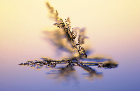 copos-de-nieve-snowflakes-snow-crystals-cristales-5