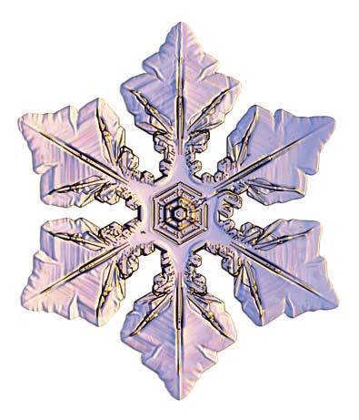 copos-de-nieve-snowflakes-snow-crystals-cristales-6