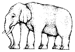 estructuras imposibles ilusiones elefante