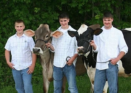 fotos familias raras vacas