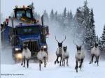 mejores-fotografias-fotos-national-geographic-2008-01
