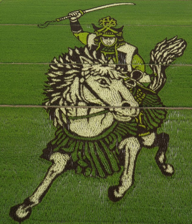 campos-arroz-dibujos-arte-guerrero-sengoku
