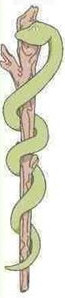emblema medicina serpiente culebra