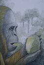 gigantopithecus_giganto-simio-comiendo
