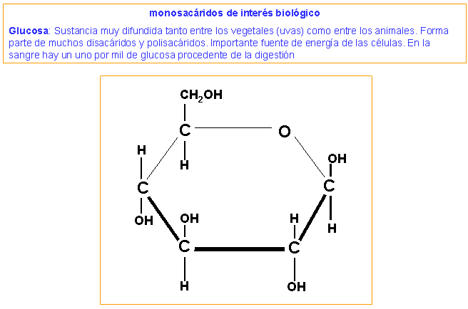 glucosa azucar carbohidrato monosacarido