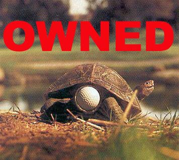 owned tortuga golf