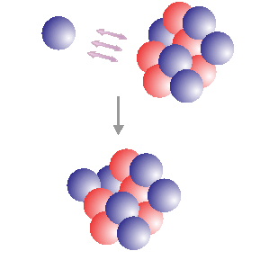 atomo neutron_captura proton
