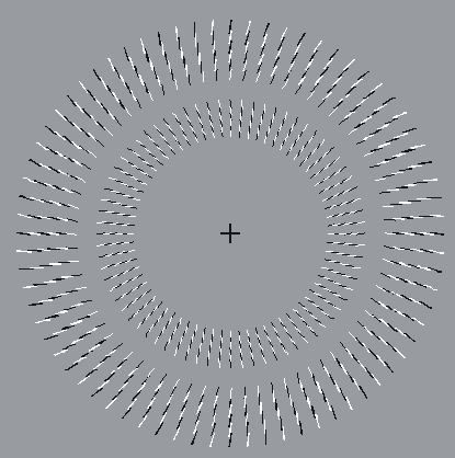 ilusiones opticas circulos giran giratorios