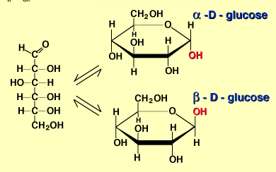 glucosa molecula estructura