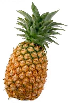 pina-pineapple