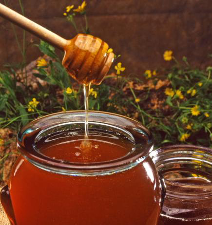 miel-abeja-por-que-produccion-composicion-nectar-pegajosa
