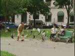 El enemigo de los pájaros video humor hombre pajaros bate