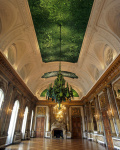 cielo delicias palacio real bruselas escarabajos