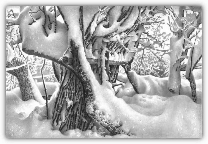 paisajes invernales nevados ilustraciones dibujos