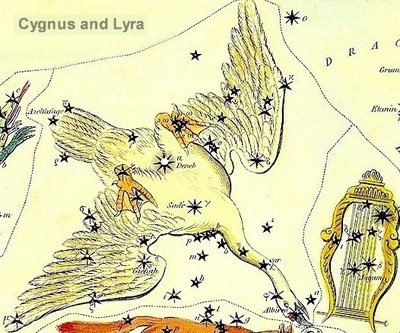 Constelacion Cygnus cisne cruz norte
