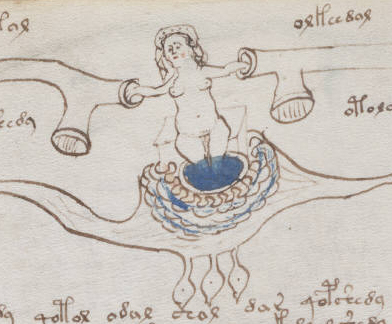 Voynich manuscrito libro misterio