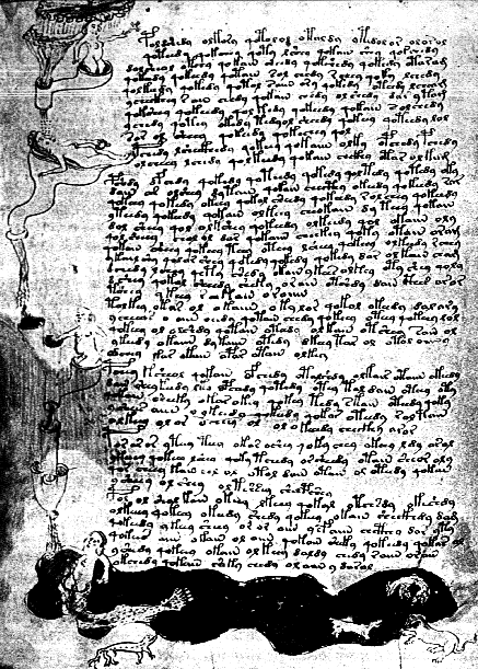 Voynich manuscrito libro misterio 50