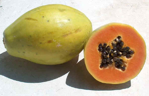 papaya-fruto-fruta