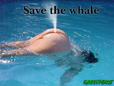 imagenes-graciosas-salvemos-a-las-ballenas
