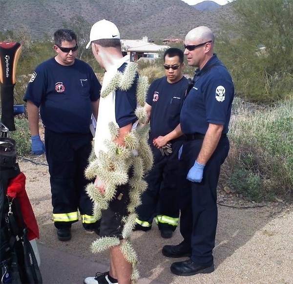 detenido policia cactus pinchos