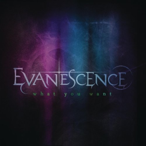 Evanescence-What-you-Want