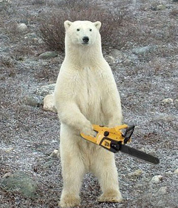 osos polares humor imagenes hielo 04