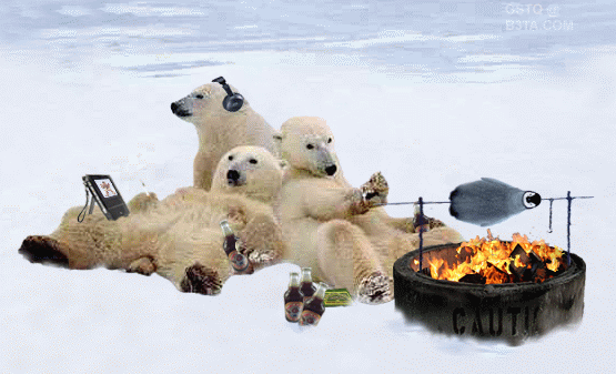 osos polares humor imagenes hielo 35