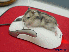 gifs animados divertidos raton ordenador