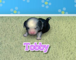 Juego de cuidar a un perro desde su nacimiento juego-cuidar-lindo-cachorrito