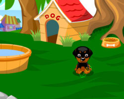 Juego de cuidar al perro juego-cuidar-tu-perro
