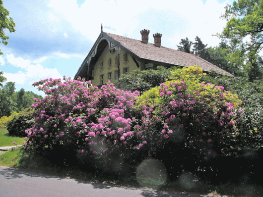 Parque Rhododendron Alemania
