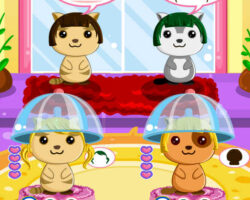 Juego en la peluquería de gatos juego-peluqueria-gatos