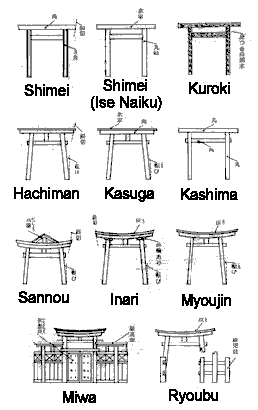 torii clases